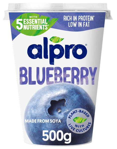 Φυτικό Επιδόρπιο Σόγιας Μύρτιλο 500g