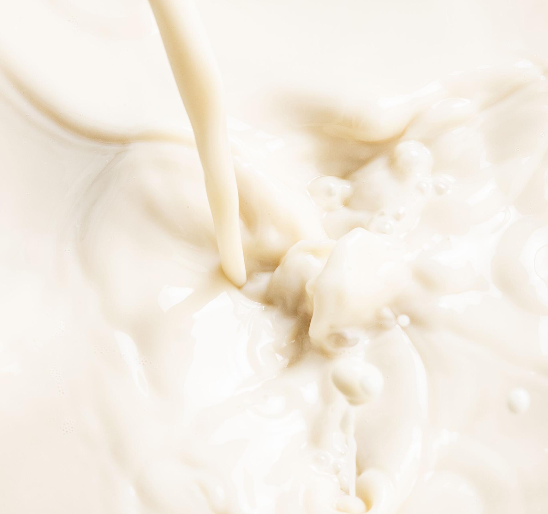 Enzymes, vitamines et minéraux