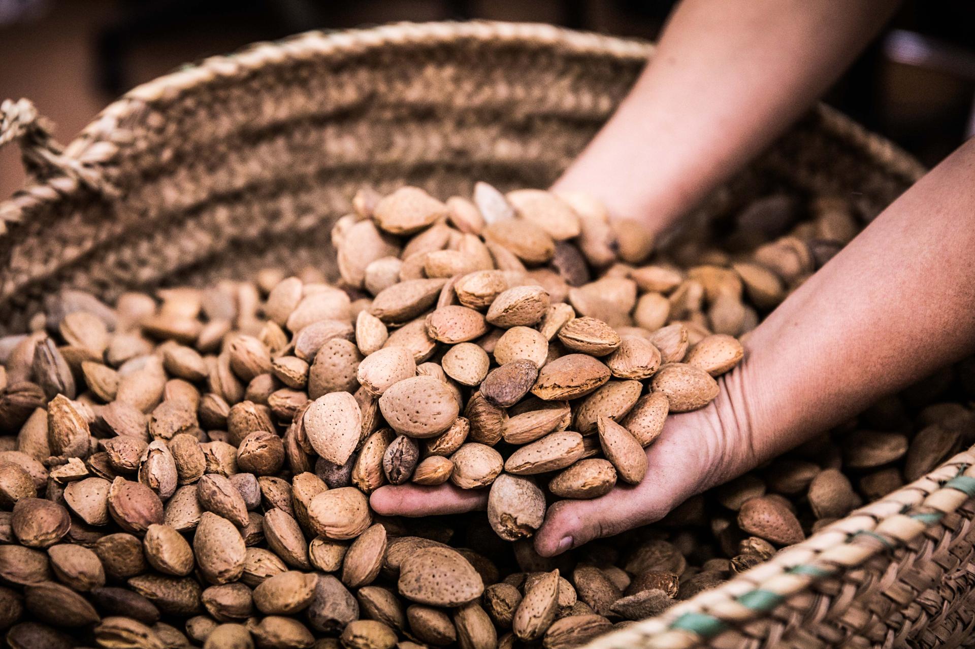 PRÉPARATION DES AMANDES - TORRÉFACTION, TREMPAGE, BROYAGE